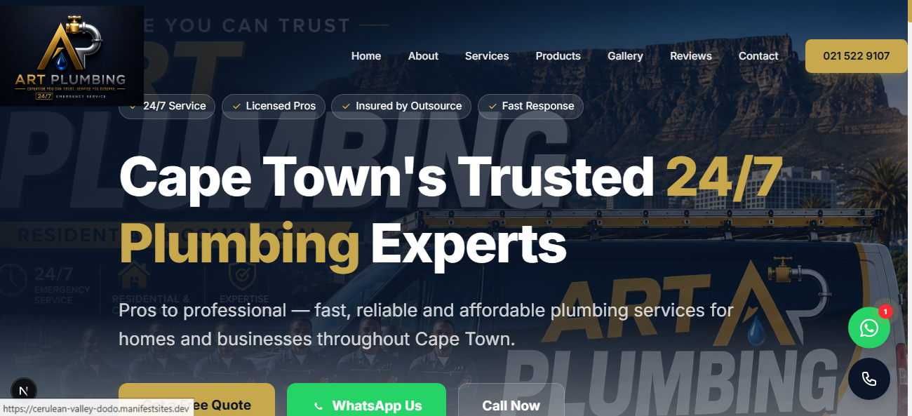Website project